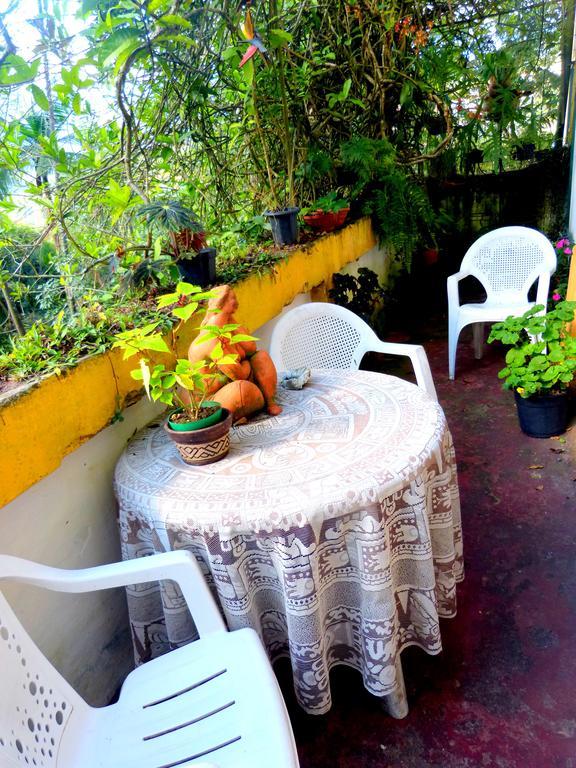 Pouso Das Glicinias - B&B Ouro Preto  Exterior foto