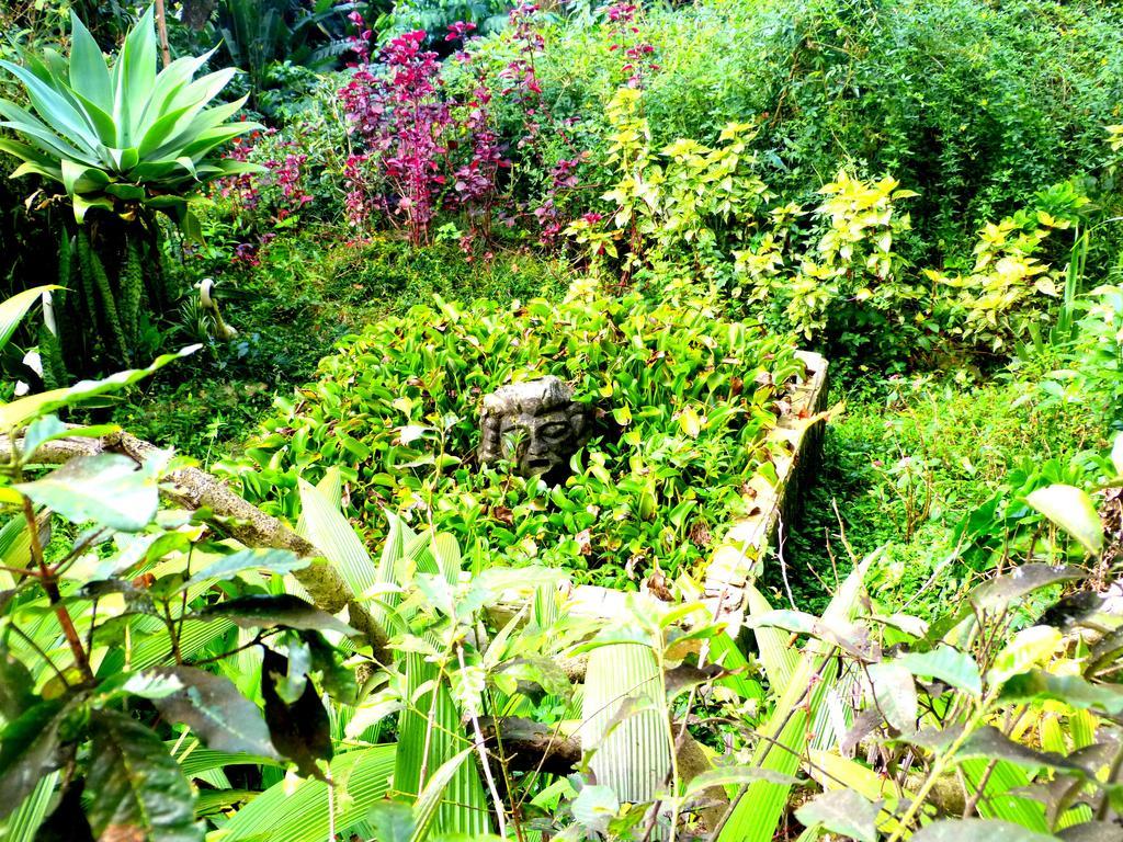 Pouso Das Glicinias - B&B Ouro Preto  Exterior foto